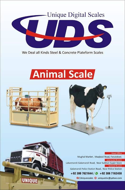 industrial scale,weighbridge,load cell price,animal scale,softwarwe 11