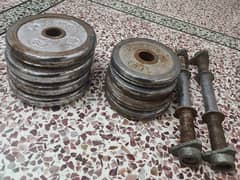 gym weight plates+rode