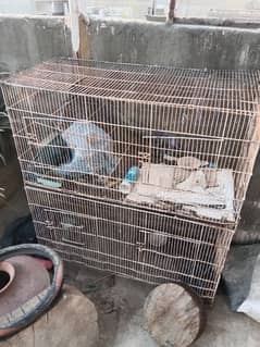 cage ,Pinjarra,bird hens cage