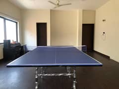 Ping Pong Table Tennis