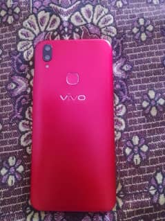 vivo