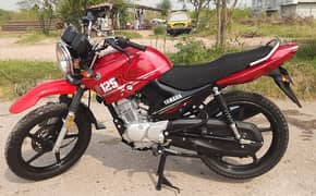 Yamaha YBR G 2023/24