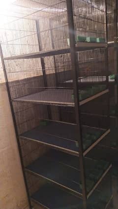 cage for birds