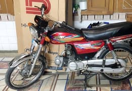 Union Star 70cc 2021