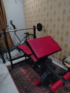 Cheap GYM Equipment (bench press etc)