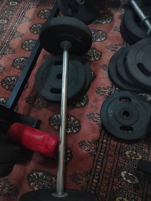 Cheap GYM Equipment (bench press etc) 3