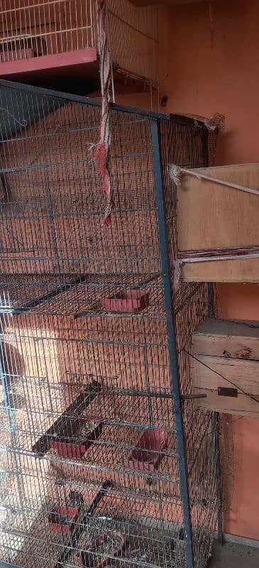 parrot cage 1