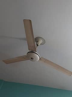 Wahid ceiling fans 0