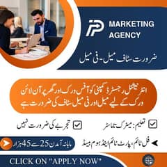 Male and female required for online job