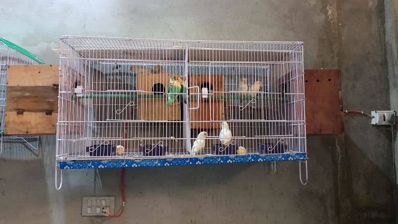 cage for sale 2