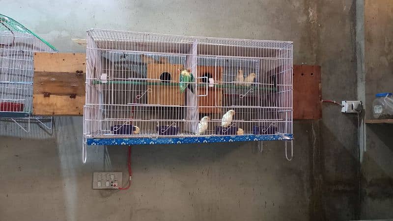 cage for sale 3