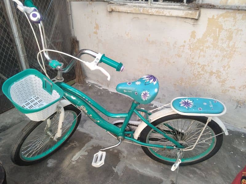 new Brand bicycle 1