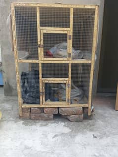 hen's cage ( new pinjra )