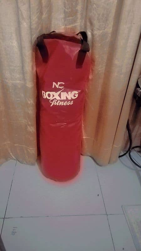 Boxing Bag and Boxing Gloves 1