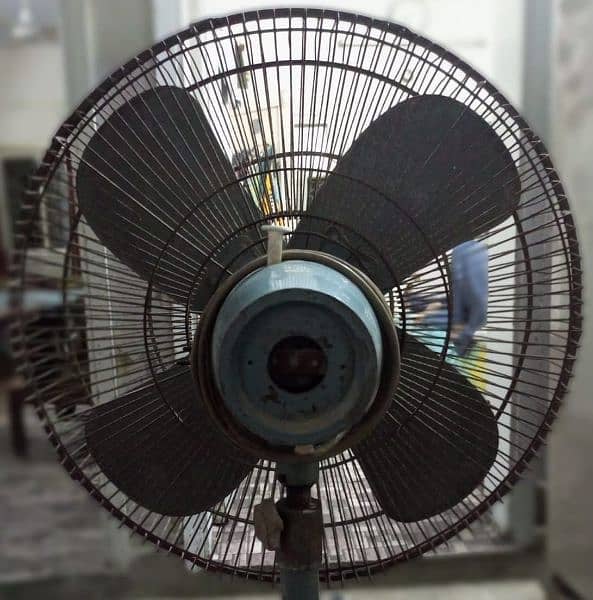 Pak Pedestal Fan 0