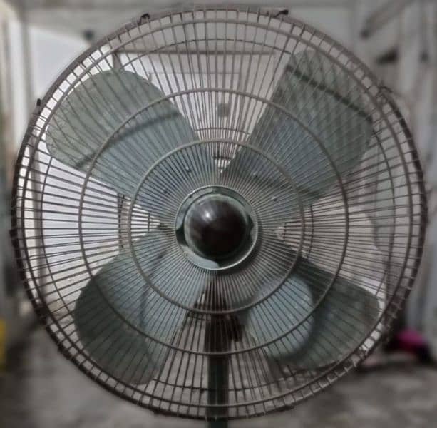 Pak Pedestal Fan 2