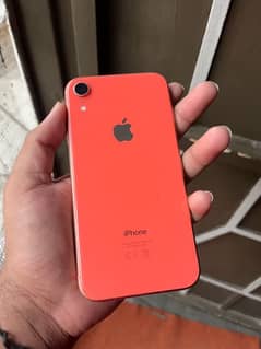 xR (128gb)