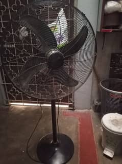 Royal Pedestal Fan