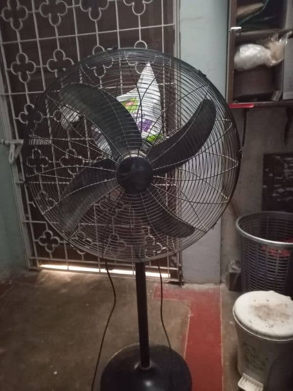 Royal Pedestal Fan 4