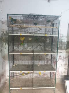 parrots cages availble for sale love bird cocktail australian