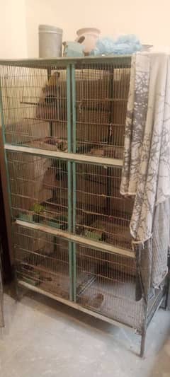 finch love bird bajri and 6 door cage 0