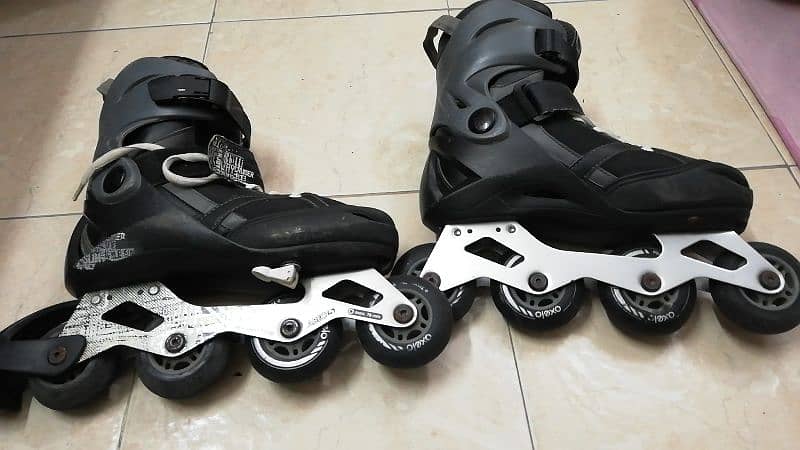 Adjustable Skates 1