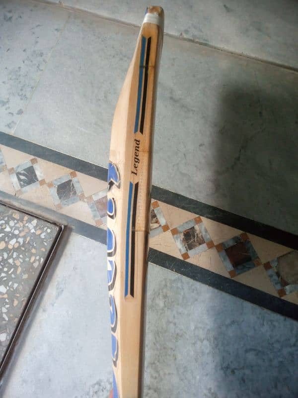 Hard Ball Bat (English Willow) 0