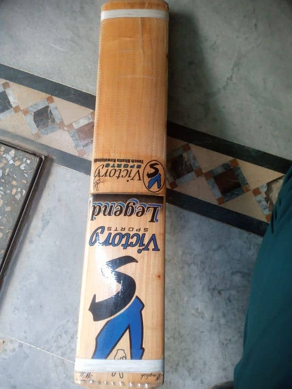 Hard Ball Bat (English Willow) 3