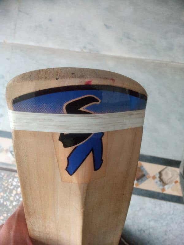 Hard Ball Bat (English Willow) 6