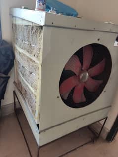 Air cooler