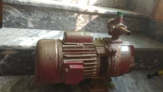 Water pump