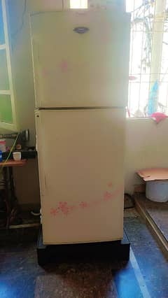 haier full size fridge