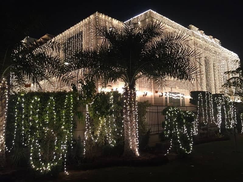 home decor with lights /fairy lights decor /wedding lights 1