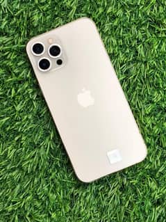 iPhone 12 Pro Max / 256GB / Water Packed / WhatsApp Num #03265949331