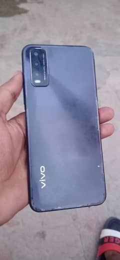 vivo