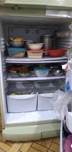 Full size refrigerator