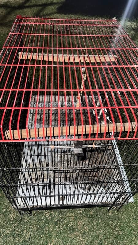 Heavy Iron Cage for sale 5