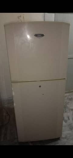 Haier full size fridge  0+300+606+360+2