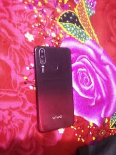 vivo