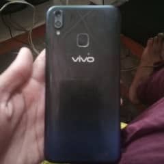 vivo