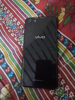 vivo