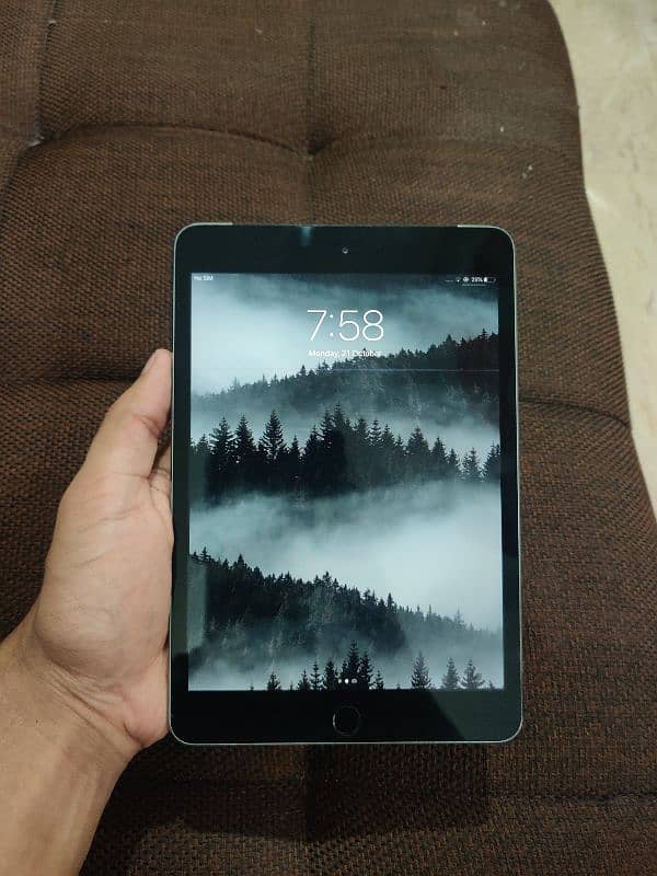 iPad mini 3 0