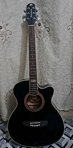 Strinberg Acoustic Guitar - Premium Condition | Great Sound!