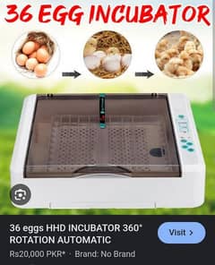 36 eggs fully Automatic incubator