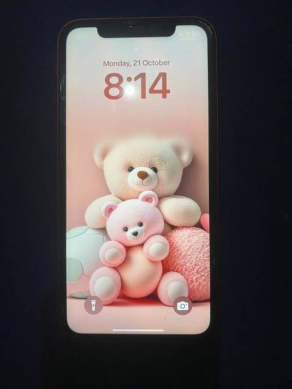 Iphone 11 PTA Approved 1