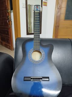 GWS 0 Shikari series Acoustic Steel String Blue Guitar