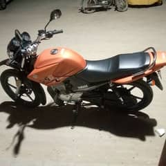 Yamaha YBR 125 G 2024 Matt Orange 03132226200