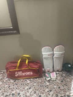 Cricket kit