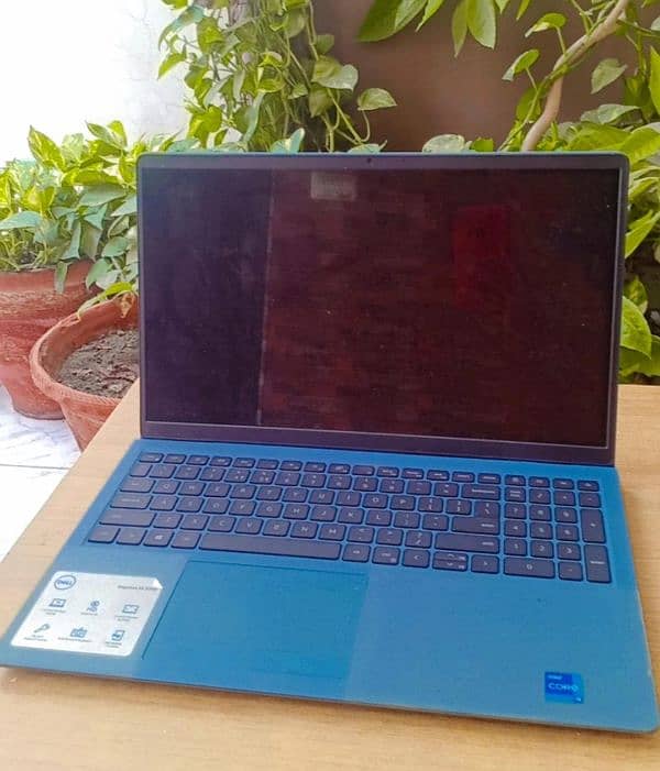 Dell Inspiron 15 3000 1