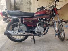 Honda 125 2019